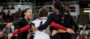 volleyball volleywood stanford admin nov am comments